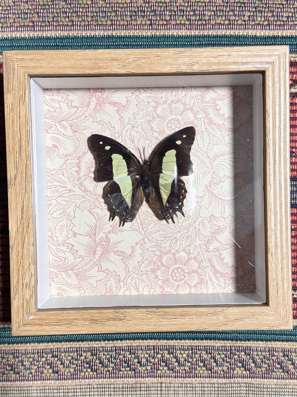 Framed Black and Pale Green Butterfly Wall Accent